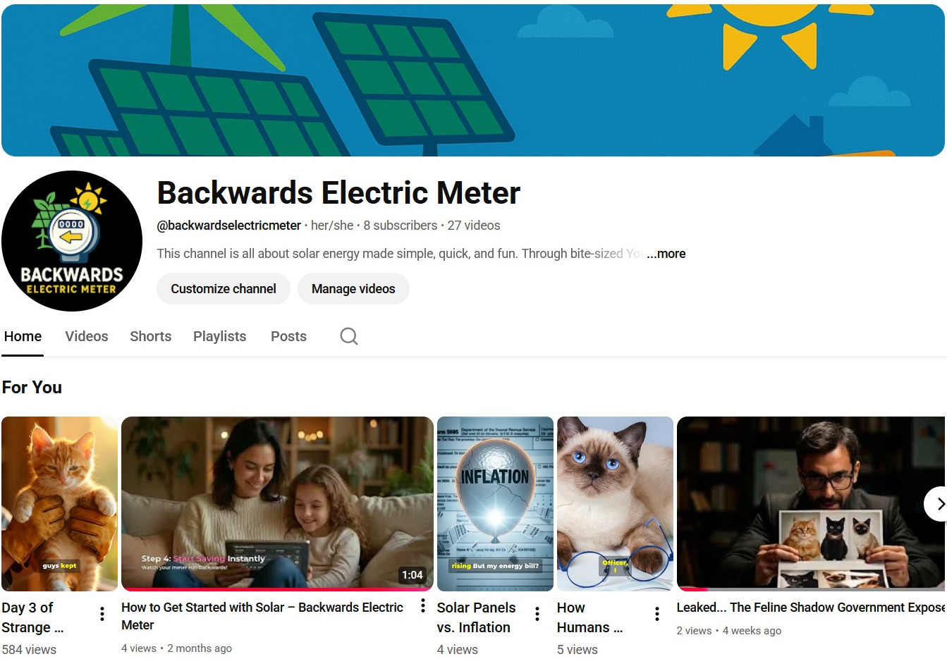 @backwardselectricmeter